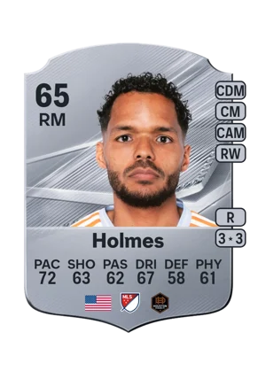 Holmes 65 RM