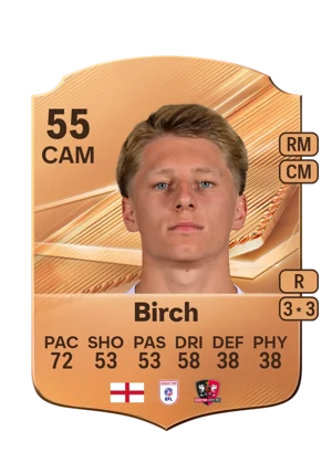 Birch 55 CAM