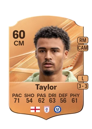 Taylor 60 CM