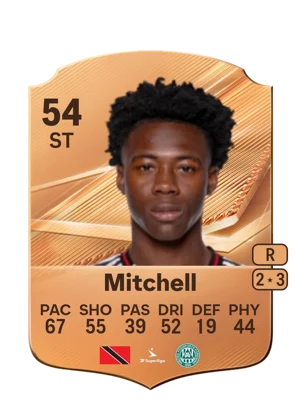 Mitchell 54 ST