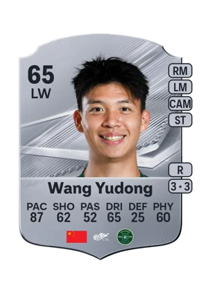 Wang Yudong 65 LW