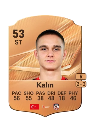 Kalın 53 ST