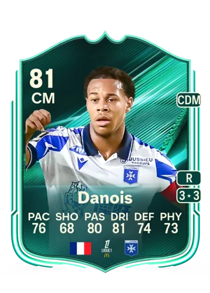 Danois 81 CM