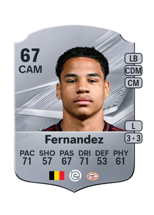 Fernandez 67 CAM