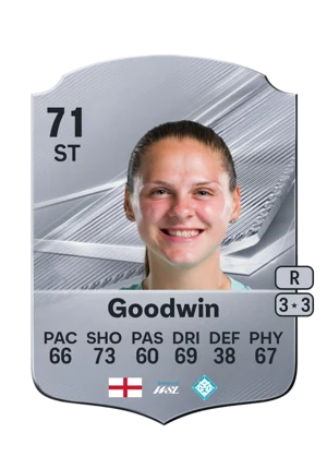 Goodwin 71 ST