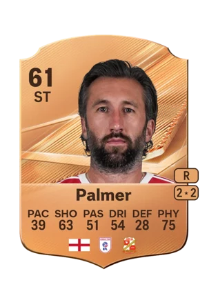 Palmer 61 ST