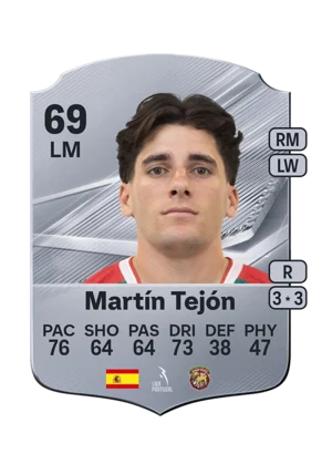 Martín Tejón 69 LM