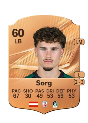 Sorg 60 LB