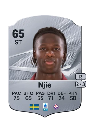 Njie 65 ST