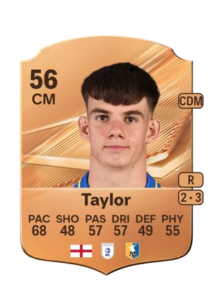 Taylor 56 CM