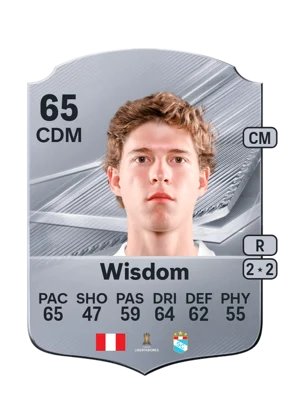 Wisdom 65 CDM