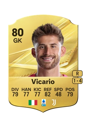 Vicario 80 GK