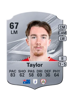 Taylor 67 LM