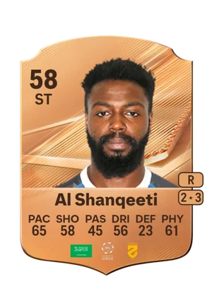 Al Shanqeeti 58 ST