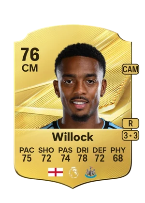 Willock 76 CM