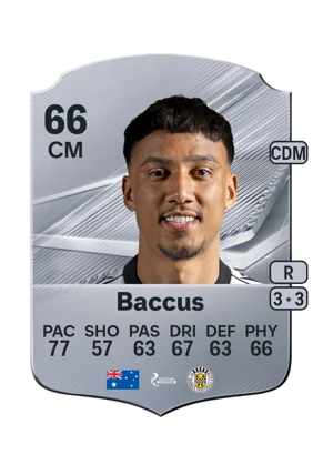 Baccus 66 CM