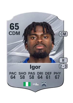 Igor 65 CDM