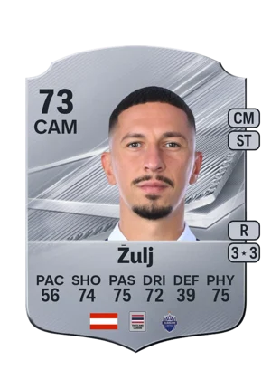 Žulj 73 CAM