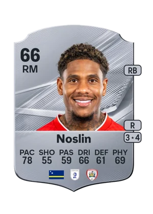 Noslin 66 RM