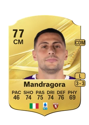 Mandragora 77 CM