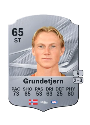Grundetjern 65 ST
