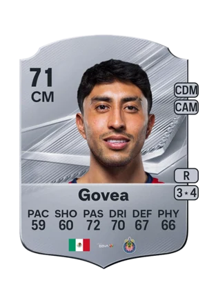 Govea 71 CM