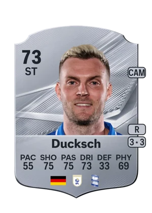 Ducksch 73 ST