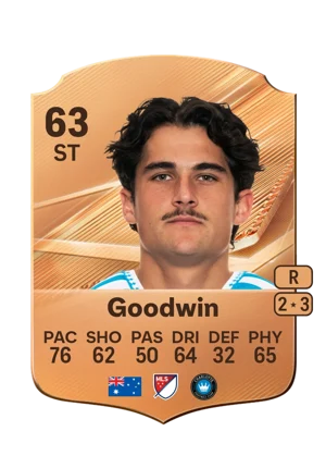 Goodwin 63 ST