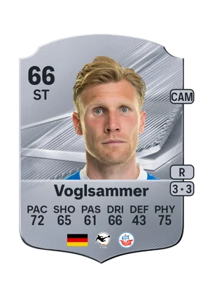 Voglsammer 66 ST