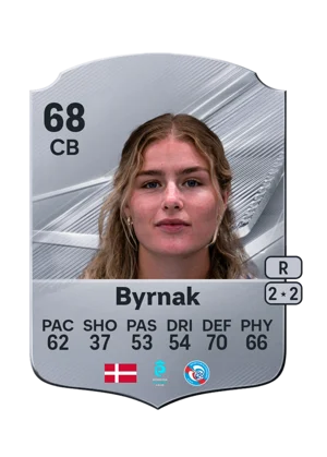 Byrnak 68 CB