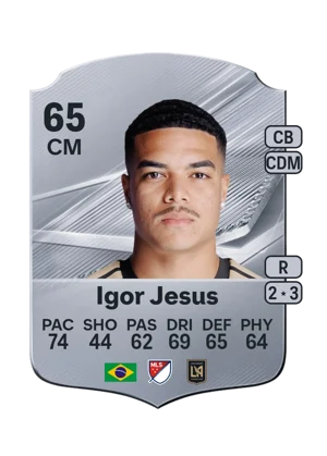 Igor Jesus 65 CM