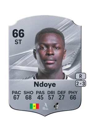 Ndoye 66 ST