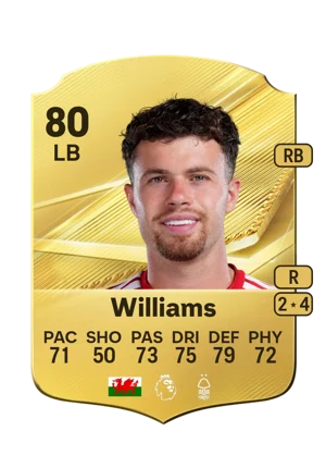 Williams 80 LB