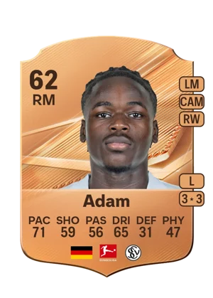 Adam 62 RM