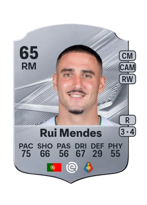 Rui Mendes 65 RM