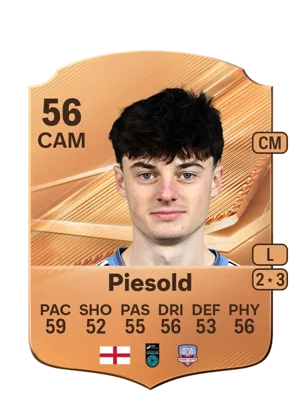 Piesold 56 CAM