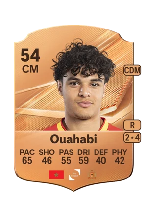 Ouahabi 54 CM
