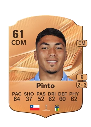 Pinto 61 CDM