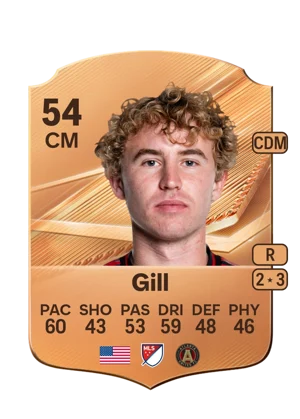 Gill 54 CM