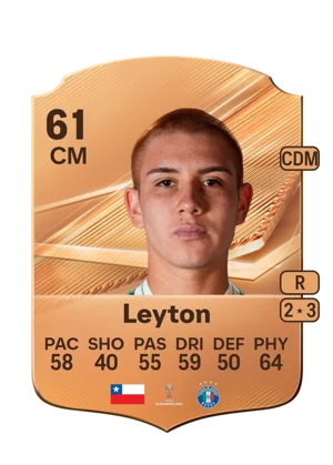 Leyton 61 CM