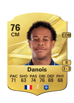 Danois 76 CM