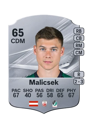 Malicsek 65 CDM