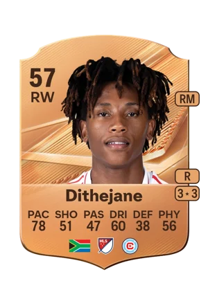 Dithejane 57 RW