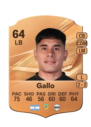 Gallo 64 LB