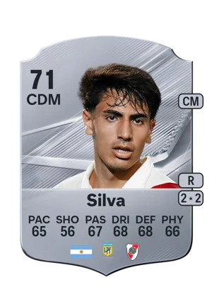 Silva 71 CDM