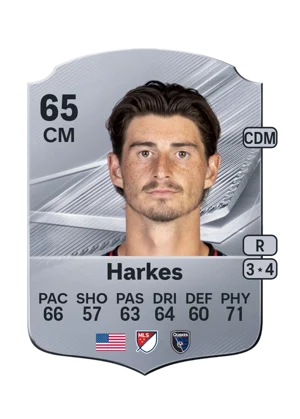 Harkes 65 CM
