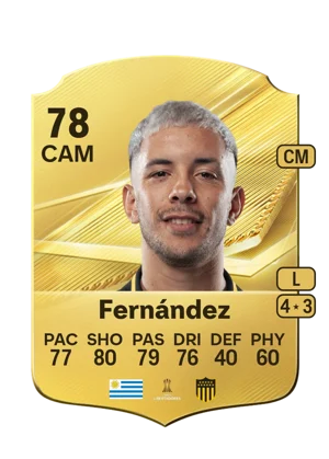 Fernández 78 CAM