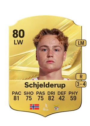 Schjelderup 80 LW