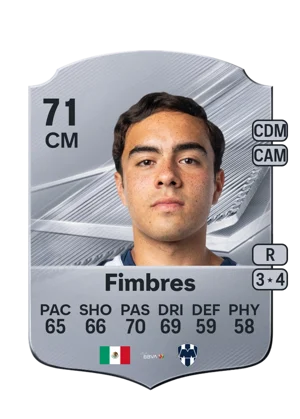 Fimbres 71 CM