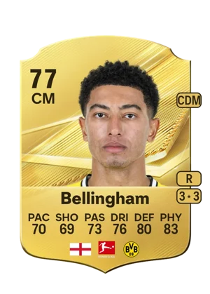 Bellingham 77 CM